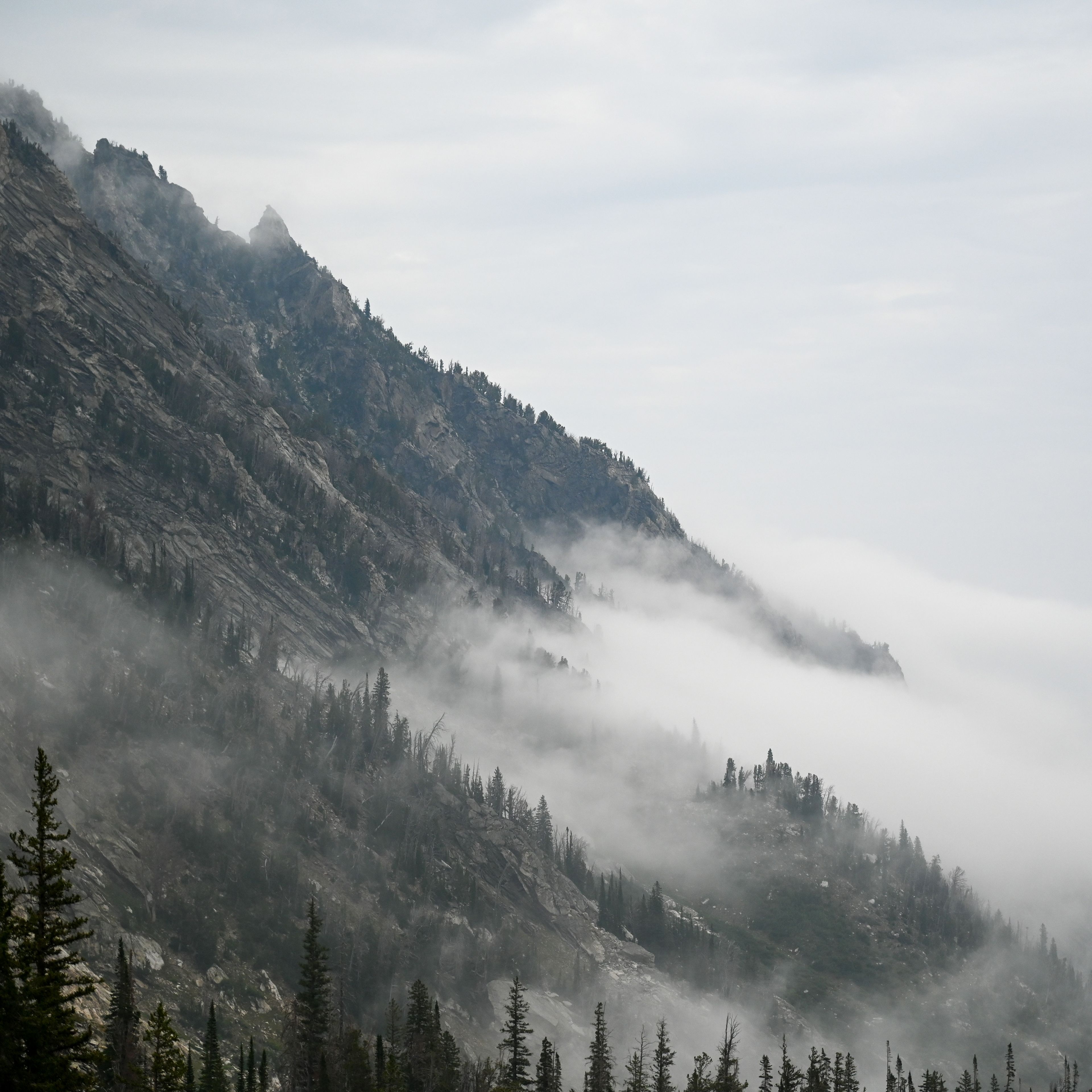 Fog in the mountains