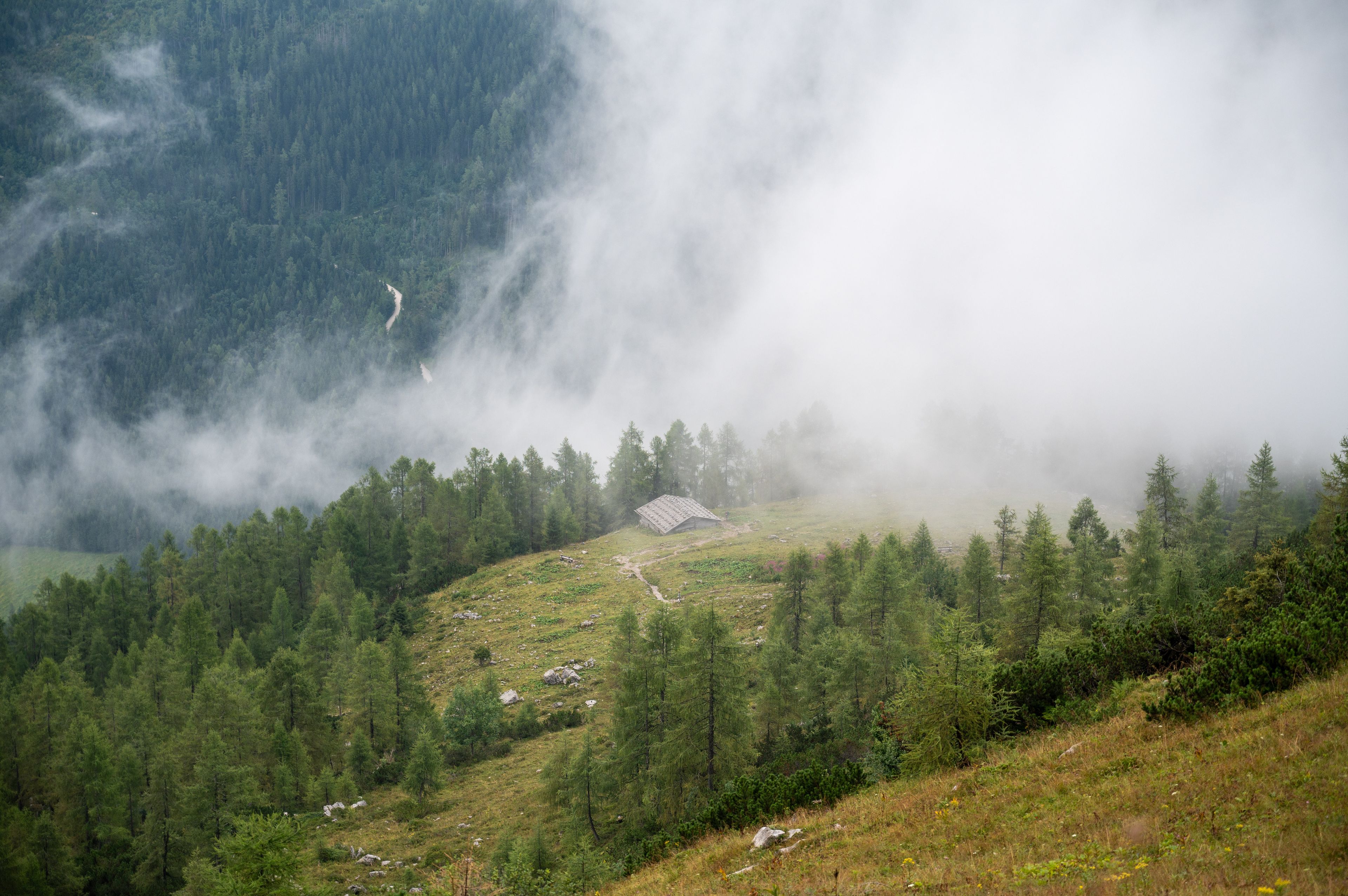A mountain hut in the fog